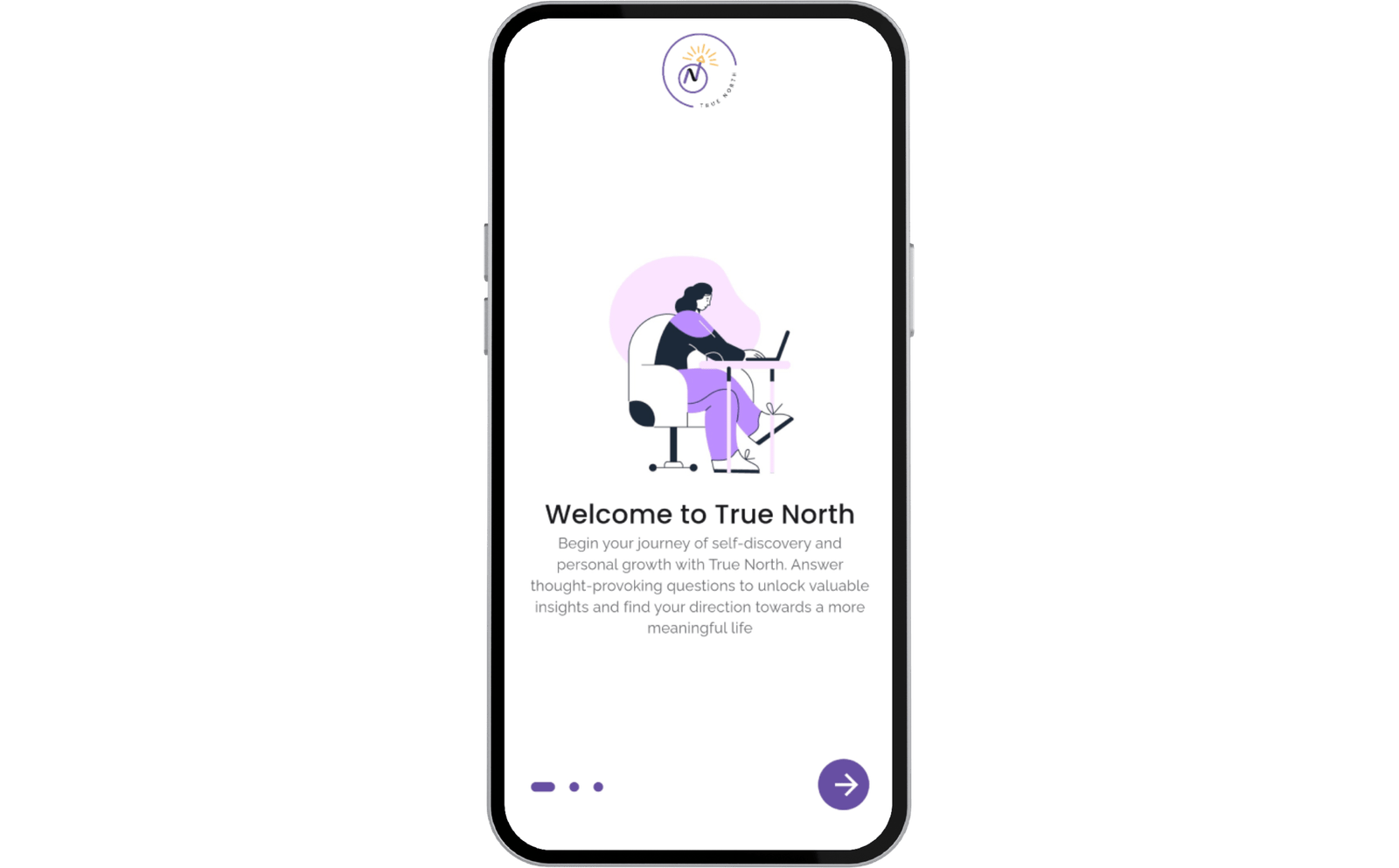 True Nort Navigating Success with Confidence and Clarity 5