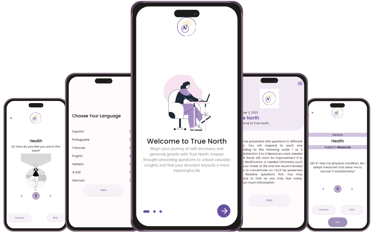 True North Navigating Success with Confidence and Clarity 1