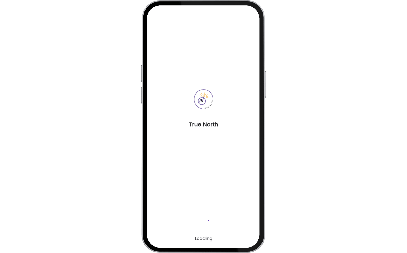 True North Navigating Success with Confidence and Clarity 6